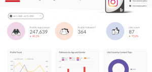 Instagram Insight overview report