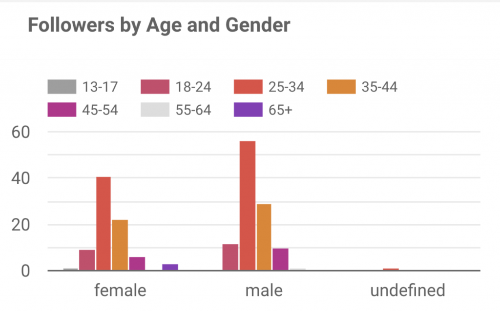 Instagram audience demographic data
