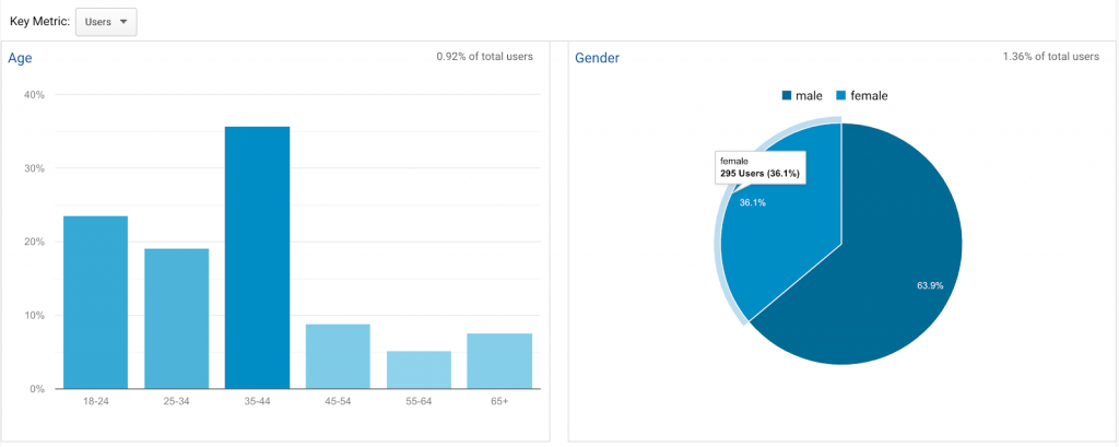 demographics report on google analytics