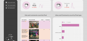 Instagram public data- Industry insights template