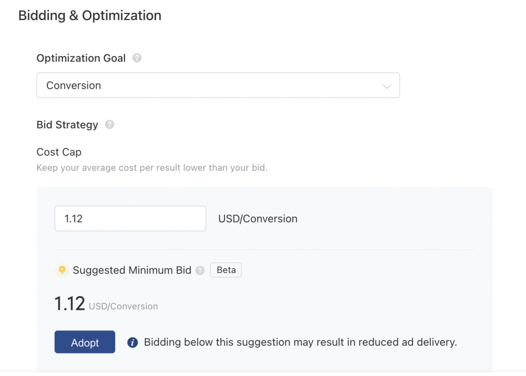 TikTok Ads bidding & optimization