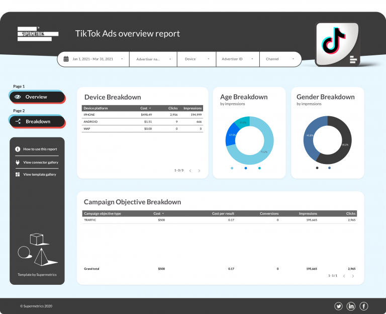 TikTok Ads detailed performance dashboard