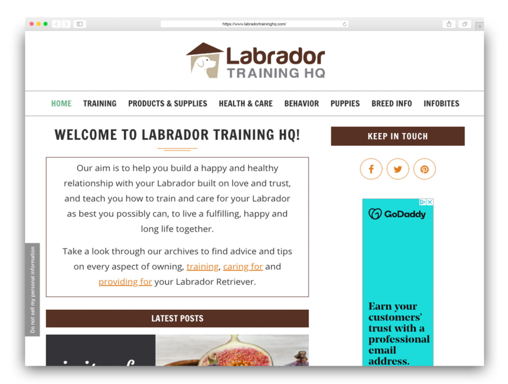 Labrador Training HQ